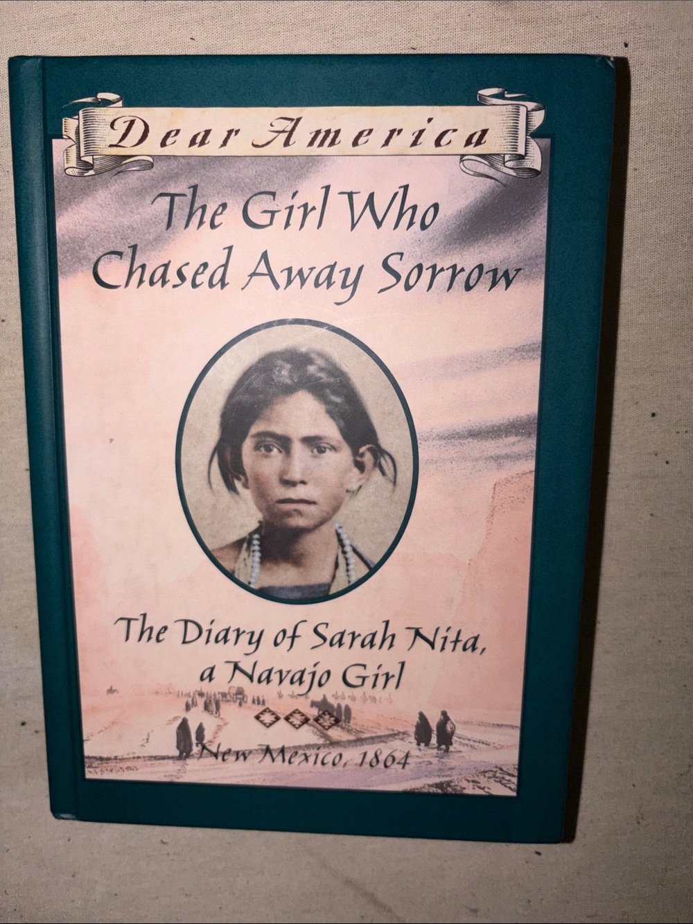 Vintage Collectible The Diary of Sara Hardcover